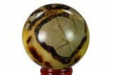 Polished Septarian Sphere - Madagascar #154123-1